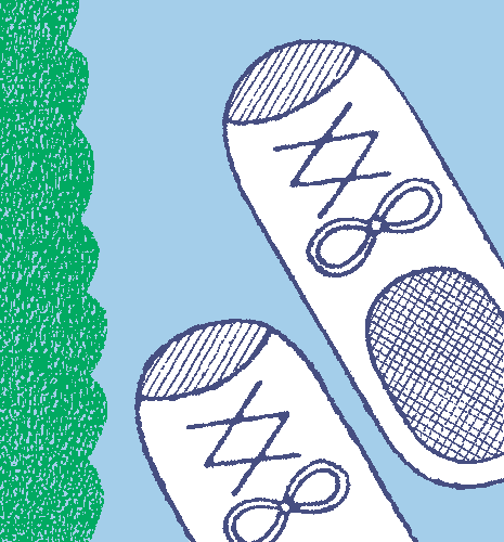 パフォーマンス